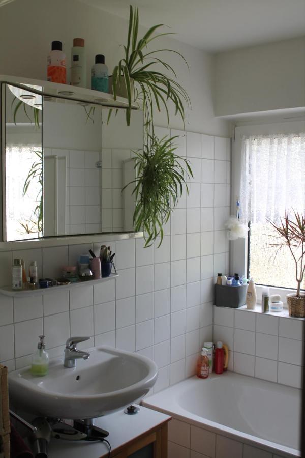 Bed & Breakfast Bonn 24 Mai Bis14 Juni Mit Hund In Der Wohnung Экстерьер фото